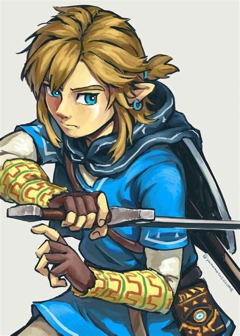  Link is a hero that was asked by Impa, the royal nursemaid, to save Princess Zelda from the evil Prince of Darkness, Gannon, who is seeking out the shards of the Triforce of Wisdom. Link finds the pieces before Gannon does, and in the end, destroys the villain with a Silver Arrow, saving Zelda. 